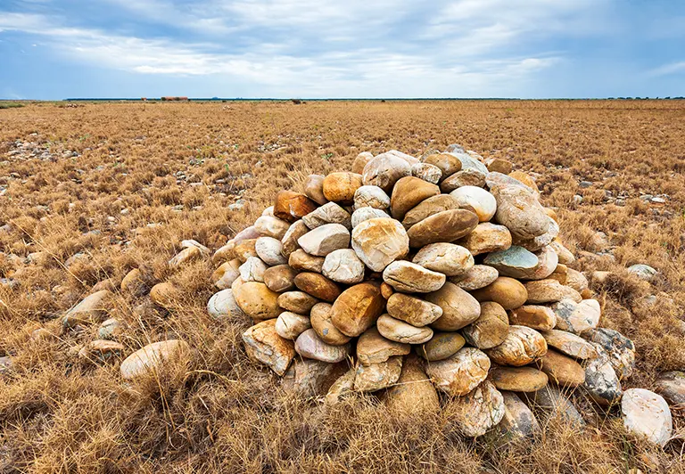 La Crau, une steppe aux allures de savane
