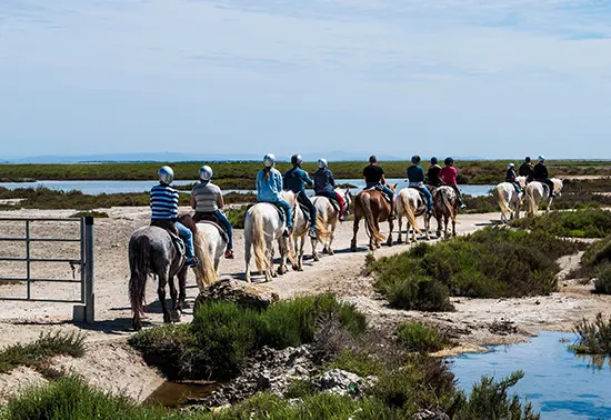 Les balades equestres au coeur des manades