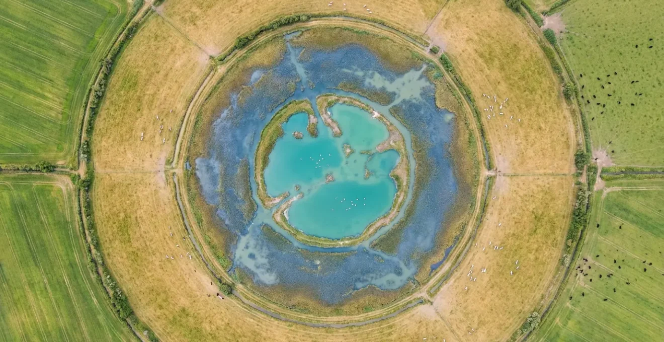 Schéma visuel montrant l'emboîtement des différentes zones de protection en Camargue comme des cercles concentriques