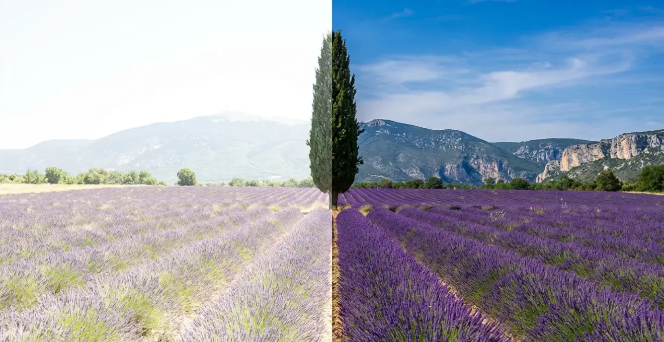 Vue comparative d'un paysage provençal avec et sans filtres photographiques