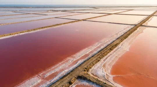 Vue aérienne spectaculaire de bassins de marais salants aux teintes roses et orangées en été